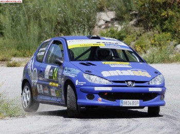 Se vende 206 max.gr.a