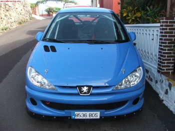 Peugeot 206 gti 2.0 --- grupo a