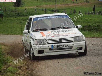 Peugeot 205 rallye