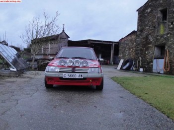 205 gti  rallys / slalon