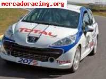  se vende peugeot 207 rc de circuitos.