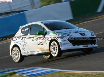  red concesionarios de murcia vende 207 thp copa 2011