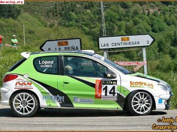 Peugeot 206 rc gr.a