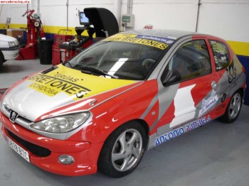 Campeon del volante de andalucia racc 2009  (206 1.6 16v )