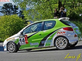 Peugeot 206 rc grupo a