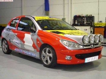  campeon del volante de andalucia racc  (206 1.6 16v )
