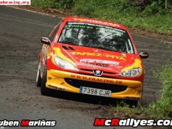 Peugeot 206 xs