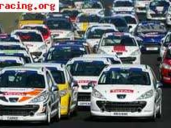  se vende peugeot 207 rc de circuitos.