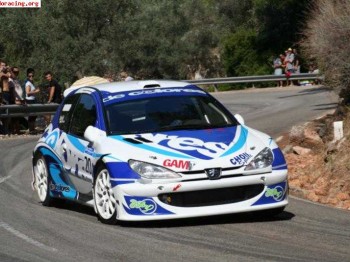 Peugeot 206 s1600