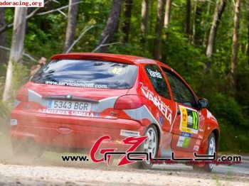 Vendo p-206 gra del desafio nacional motor mejorado