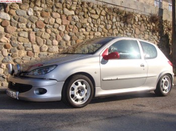Peugeot 206 xs 1.6 16v homologado rallye