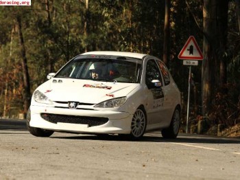 Vendo 206 gti full a