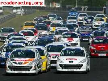 Se vende peugeot 207 rc de la copa peugeot circuitos