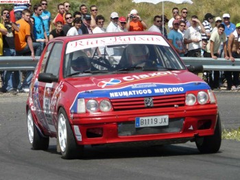 Vendo 205 rallye tope grupo a