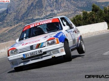 Se vende 205 rallye