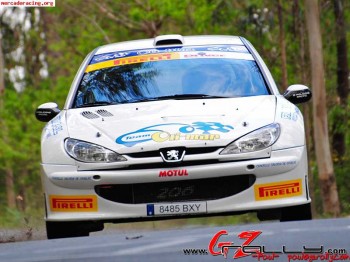 Peugeot 206 s1600 ex oficial