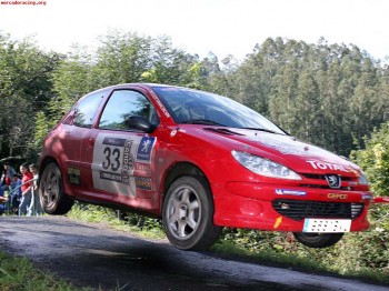 Vendo peugeot  206 grupo a, del desafío nacional