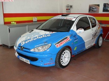 Peugeot 206 xs desafio nacional