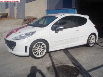 Vendo 207  de la copa de circuitos