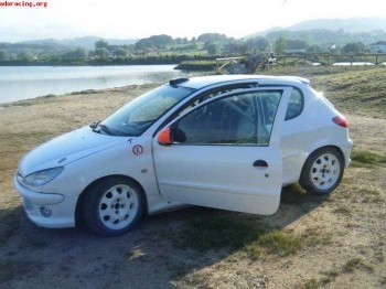 206 1.6 16v . precio 5000e urge ! . [30 fotos]