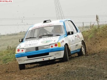 Peugeot 205 1.6 gtx (tierra)