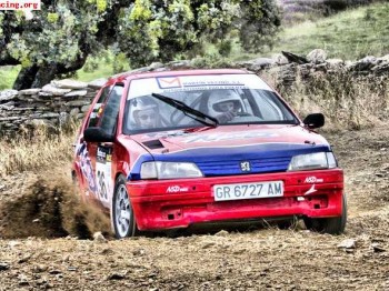 Vendo 106 rallye 1.3 gr-a asfalto y/o tierra 