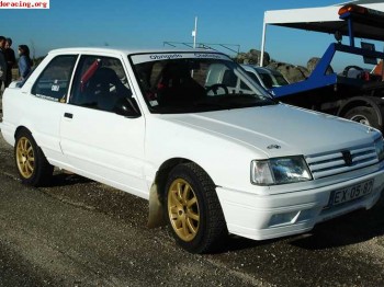 Peugeot 309 gti 16 grupo a 