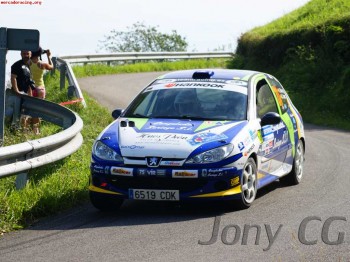 Peugeot 206 desafio nacional