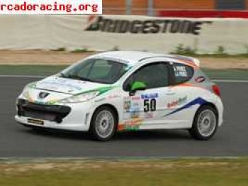 Vendo 207 rc thp de circuitos de 220 cv documentado