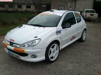 Peugeot 206 grupo n