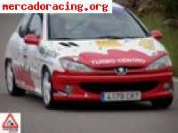 206 xs campeon volante racc  c. valenciana