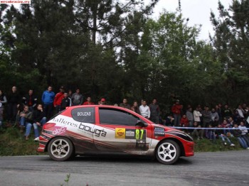 206 desafio original.