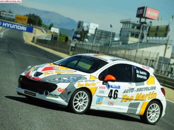 Peugeot 207 copa 9.900€