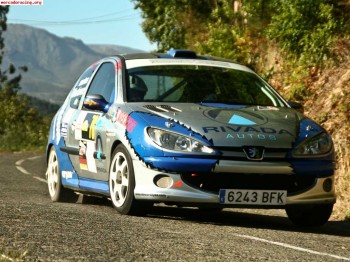 Se vende o cambia 206 gr a