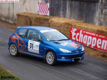 206 tope grupo n peugeot sport barato y con pocos kms