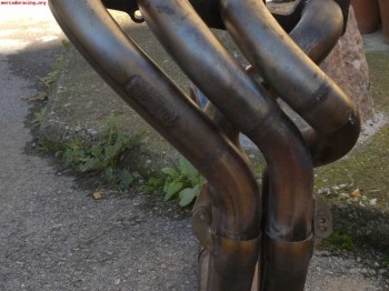 Vendo colectores daluz