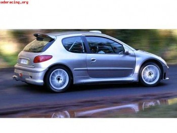 Peugeot 206 s1600