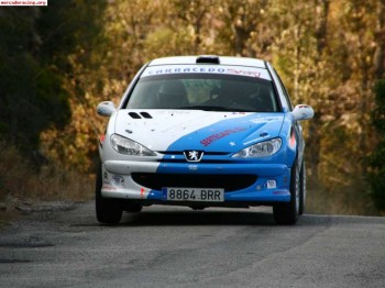 Peugeot 206 grupo a 