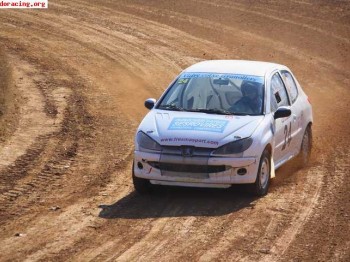 Vendo peugeot 206 campeón catalunya div iia 2011