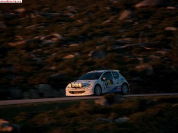 Peugeot 206 s1600 ex oficial españa