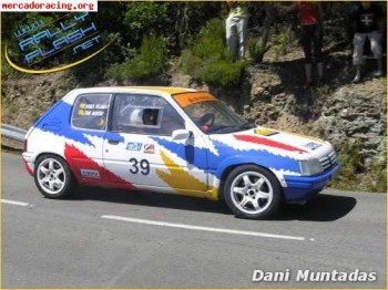 Peugeot 205 rallye f2000