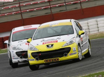 Se vende o se alquila para cer peugeot 207 thp 220cv