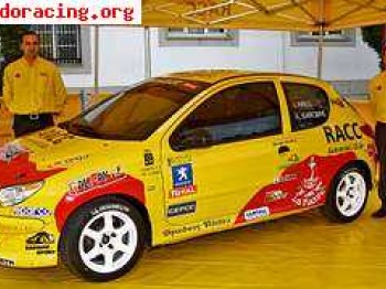 Vendo 206 desafio ex ivan ares