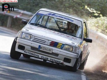 205 rallye documentado   repuestos 
