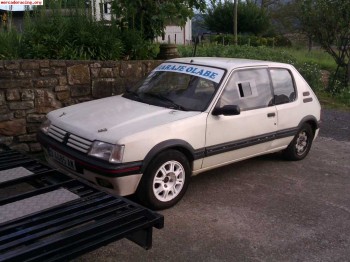 205 gti