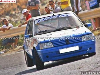 Vendo peugeot 205 rallye documentado