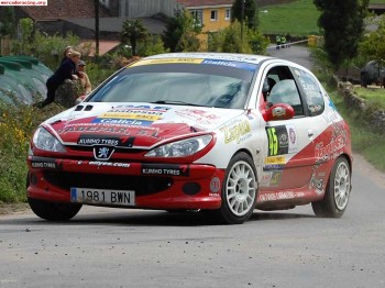 Urge venta!! 206 1.6 16v del desafío regional 