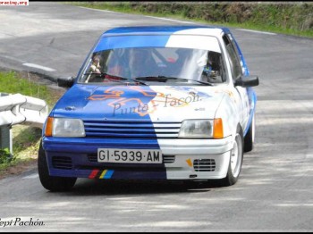 205 rallye lis para correr
