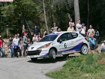 207 rc rallye r3t