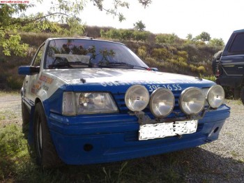 Vendo 205 rallye documentado